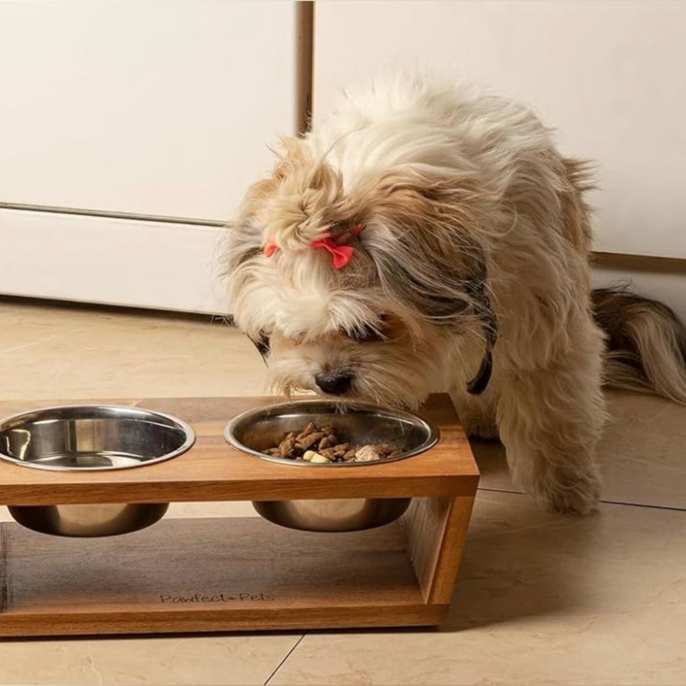 Loving Pets Double Raised Pet Dishes Stainless Steel Birch Stand NWT